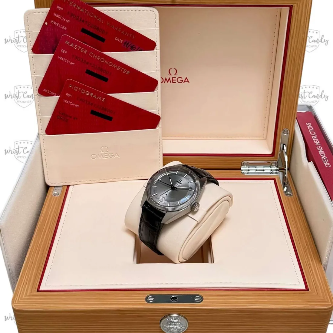 Omega Constellation Globemaster Annual Calendar — detail 8