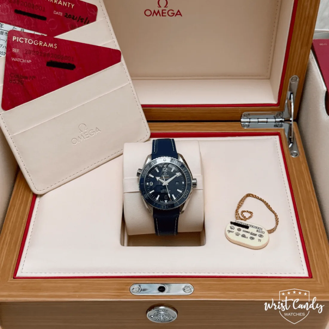 Omega Seamaster Planet Ocean 600M titanium — detail 8