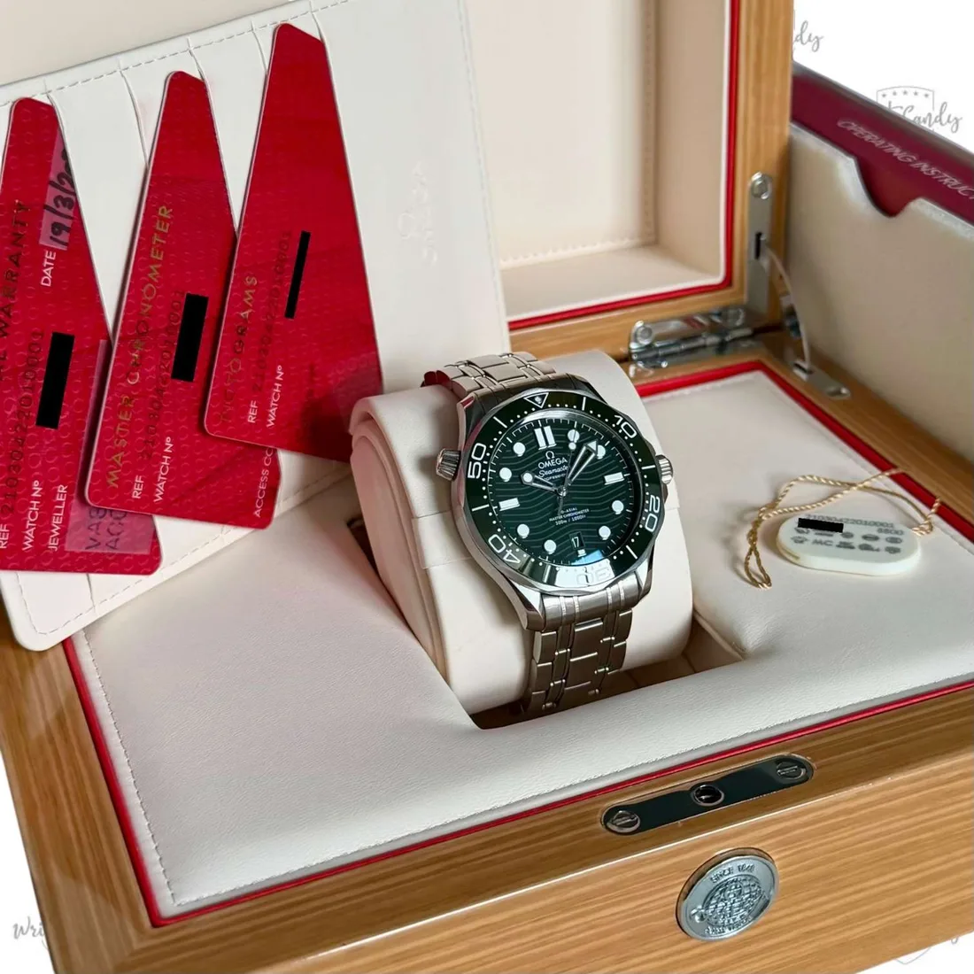 Omega Seamaster Diver 300M green dial — detail 8