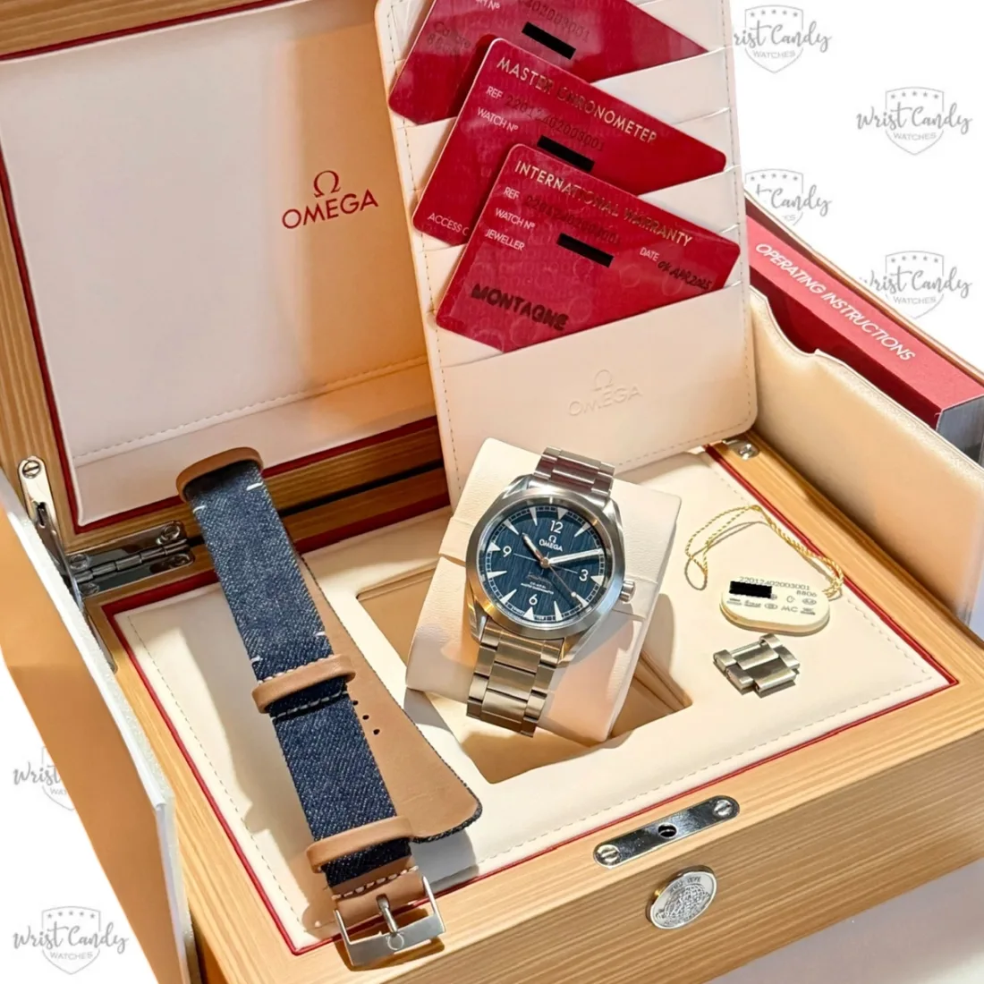 Omega Seamaster Railmaster — detail 8